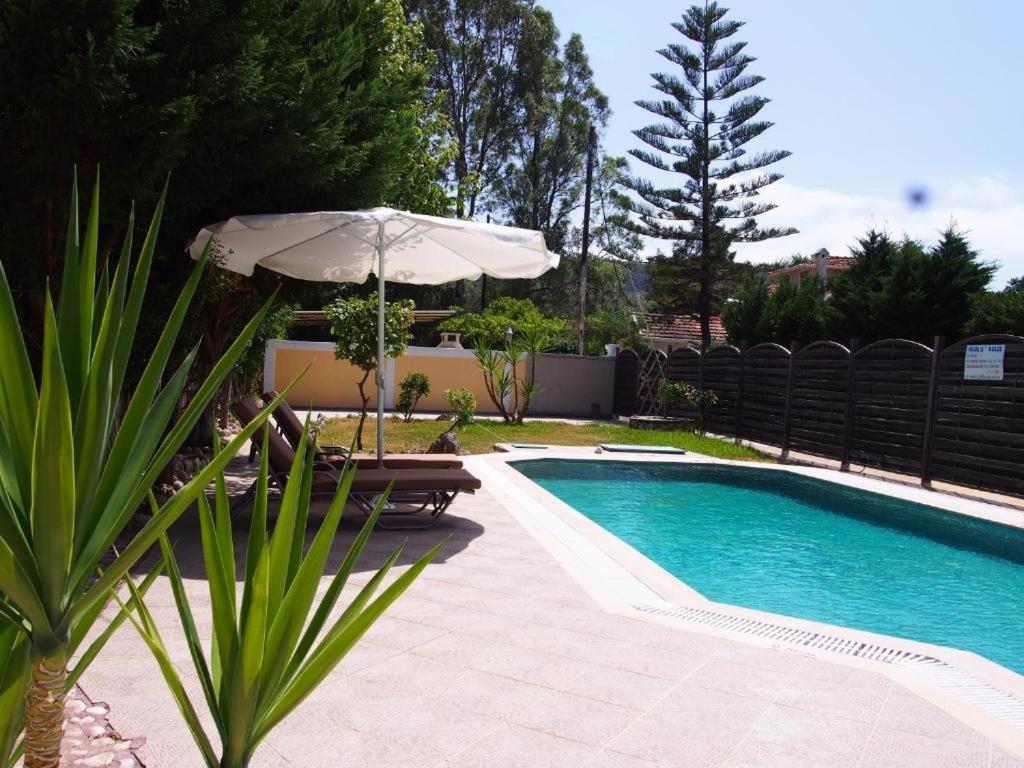 Villa Adonis With Private Pool By Lefkadastay 외부 사진
